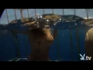 Nude Girls In A Shark Cage!