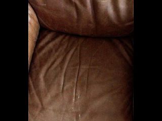Pissing On A Leather Chair