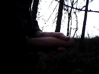 Me In The Wood, Ich Im Wald
