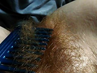 Hairy Redhead